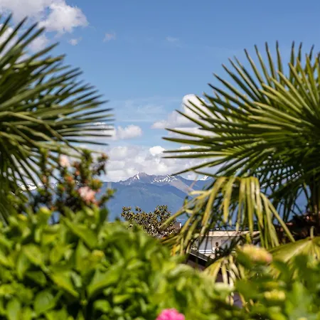 Easy By La Perla 호텔 아스꼬나