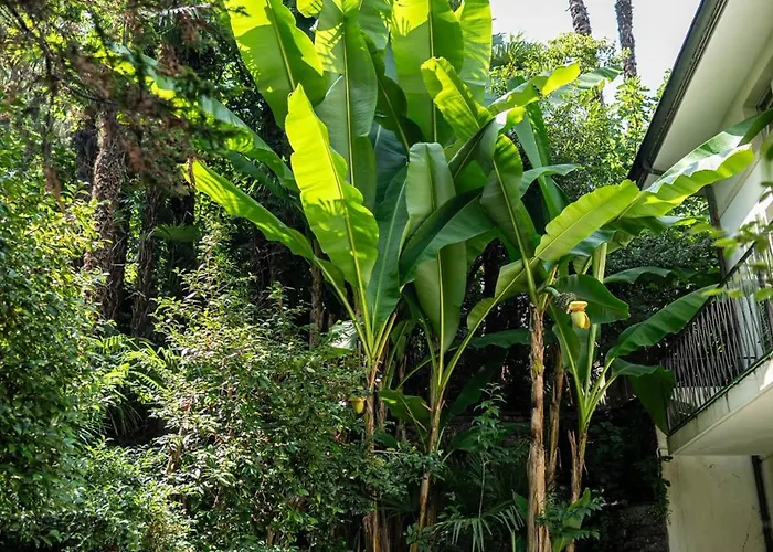 Easy By La Perla ホテル 3*